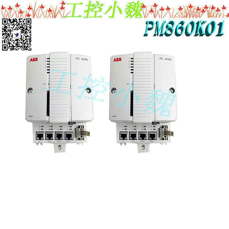PM860K01
