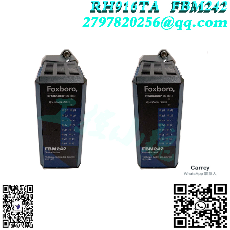 P0101AG FBM242电源模块